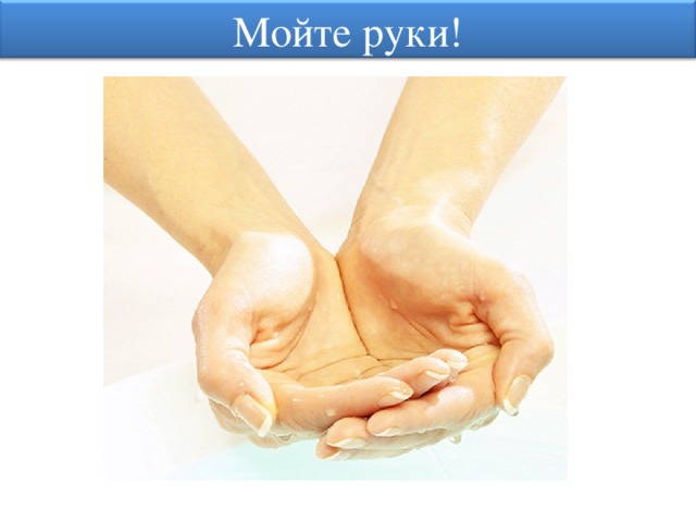 Мойте руки! 