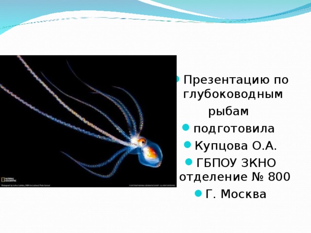 Презентацию по глубоководным рыбам подготовила Купцова О.А. ГБПОУ ЗКНО отделение № 800 Г. Москва 