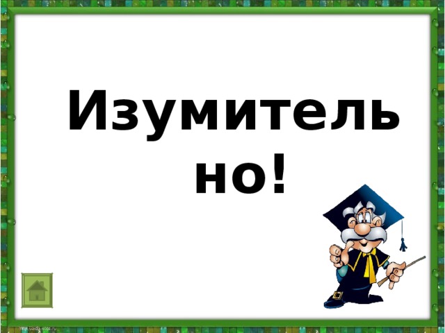 Изумительно!                   