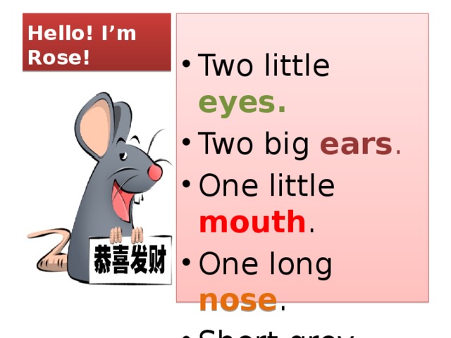 Hello! I’m Rose! Two little eyes. Two big ears . One little mouth . One long nose . Short grey hair . 