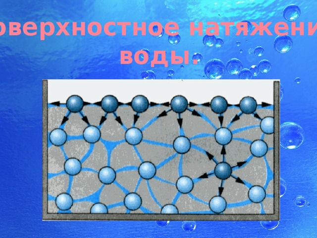Поверхностное натяжение  воды. 