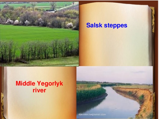 Salsk steppes Middle Yegorlyk river 