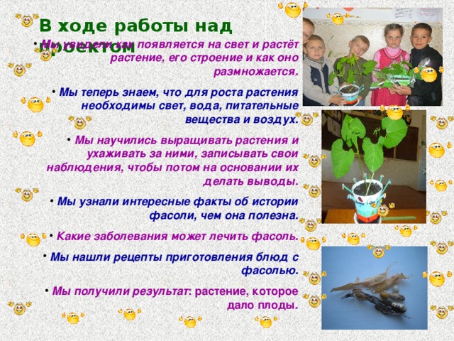 В ходе работы над проектом  Мы увидели как появляется на свет и растёт растение, его строение и как оно размножается.  Мы теперь знаем, что для роста растения необходимы свет, вода, питательные вещества и воздух.  Мы научились выращивать растения и ухаживать за ними, записывать свои наблюдения, чтобы потом на основании их делать выводы.  Мы узнали интересные факты об истории фасоли, чем она полезна.  Какие заболевания может лечить фасоль.  Мы нашли рецепты приготовления блюд с фасолью.  Мы получили результат : растение, которое дало плоды. 