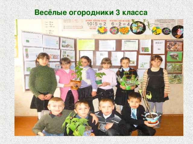 Весёлые огородники 3 класса 
