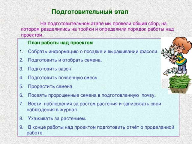 Подготовительный этап  На подготовительном этапе мы провели общий сбор, на котором разделились на тройки и определили порядок работы над проектом.   План работы над проектом  Собрать информацию о посадке и выращивании фасоли.  Подготовить и отобрать семена.  Подготовить вазон  Подготовить почвенную смесь.  Прорастить семена  Посеять пророщенные семена в подготовленную почву.  Вести наблюдения за ростом растения и записывать свои наблюдения в журнал.  Ухаживать за растением.  В конце работы над проектом подготовить отчёт о проделанной работе. 