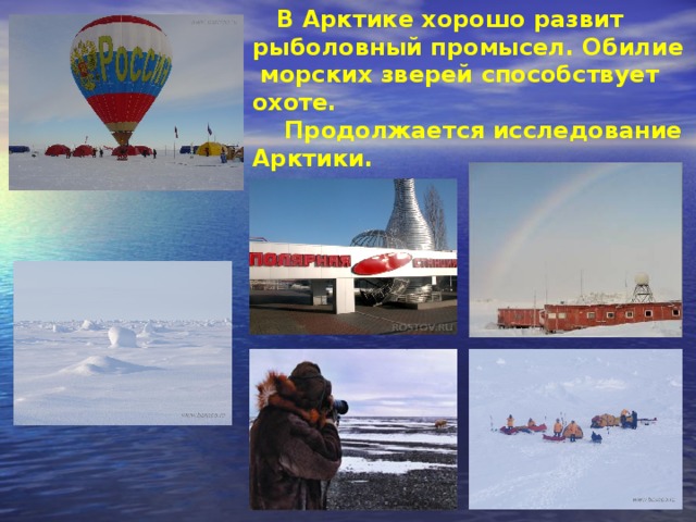 В Арктике хорошо развит рыболовный промысел. Обилие  морских зверей способствует охоте.  Продолжается исследование Арктики .