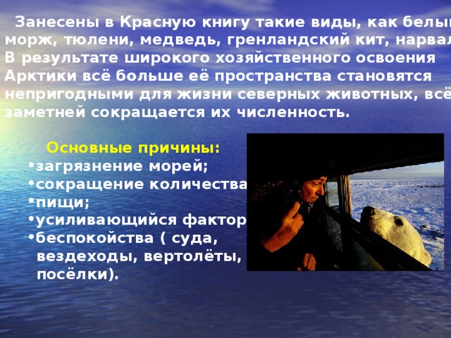 Занесены в Красную книгу такие виды, как белый морж, тюлени, медведь, гренландский кит, нарвал. В результате широкого хозяйственного освоения Арктики всё больше её пространства становятся непригодными для жизни северных животных, всё заметней сокращается их численность.   Основные причины: загрязнение морей; сокращение количества пищи; усиливающийся фактор; беспокойства ( суда, загрязнение морей; сокращение количества пищи; усиливающийся фактор; беспокойства ( суда,  вездеходы, вертолёты,  посёлки).