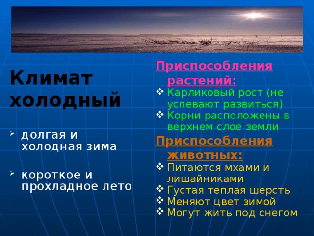 Приспособления растений: Карликовый рост (не успевают развиться) Корни расположены в верхнем слое земли Приспособления животных: Питаются мхами и лишайниками Густая теплая шерсть Меняют цвет зимой Могут жить под снегом Климат холодный долгая и холодная зима короткое и прохладное лето Зима продолжается дольше, чем учебный год в школе, а лето – всего 1 месяц. За лето успевает оттаять только верхний слой земли, а ниже сохраняется вечная мерзлота – твердый слой со льдом, куда не могут проникнуть корни растений. 6 