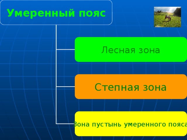 Умеренный  пояс Лесная зона Степная зона Главная особенность умеренного климата в том, что времена года хорошо различаются. Зона пустынь умеренного пояса 14 