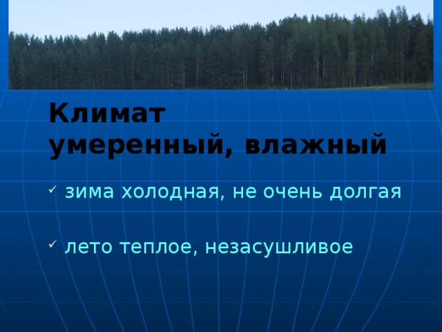 Климат умеренный, влажный зима холодная, не очень долгая лето теплое, незасушливое Лето здесь значительно теплее, чем в тундре, за лето деревья успевают набраться сил, чтобы пережить зиму, хотя и морозную, но не такую долгую. На севере лесной зоны распространена тайга – лес из хвойных деревьев. В районах с более мягким климатом преобладают лиственные леса. 14 