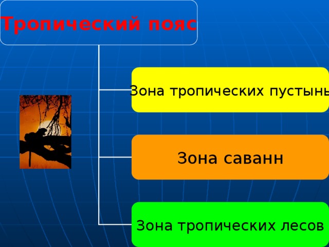 Тропический  пояс Зона  тропических  пустынь Зона саванн В тропическом поясе солнце в полдень находится в зените, т. е. прямо над головой и зимой, и летом. Т.о. прямые солнечные лучи сильно нагревают землю круглый год. Сезоны здесь бывают влажные или сухие. Поэтому жара в тропиках разная: когда идут дожди, то жарко, как в бане, а когда их нет, то жарко, как на сковородке. Чем ближе к экватору, тем дольше сезон дождей. Зона тропических лесов 30 