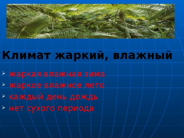 Климат жаркий, влажный  жаркая влажная зима жаркое влажное лето каждый день дождь нет сухого периода Тропические леса называют еще дождевыми. Каждое утро солнце поднимается по безоблачному небу, ночная прохлада быстро сменяется жарой. Роса испаряется, днем появляются облака и становится душно. Начинается гроза с тропическим ливнем. Квечеру дождь прекращается и жара спадает. С утра все повторяется. 30 