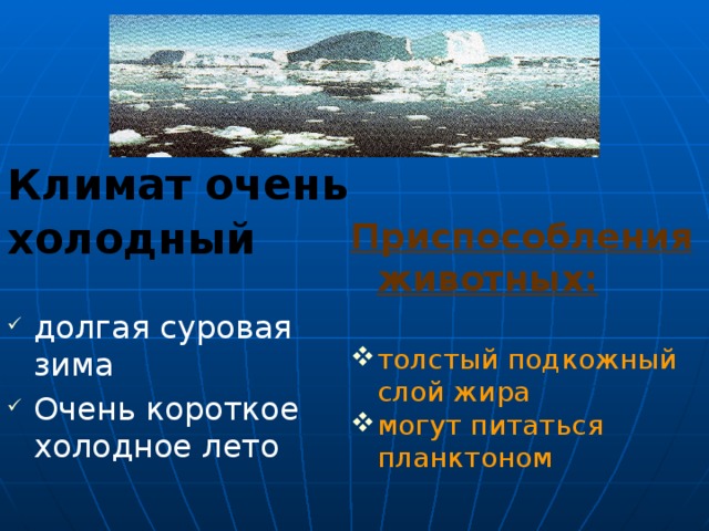 Климат очень холодный долгая суровая зима Очень короткое холодное лето Приспособления животных: толстый подкожный слой жира могут питаться планктоном Вокруг полюсов и суша и море круглый год покрыты льдом. Но там, где проходят теплые морские течения, вода свободна ото льда и богата планктоном – мелкими растениями и животными, парящими в толще воды. Планктоном питается рыба, а рыбой – птицы, тюлени, моржи и другие обитатели этой зоны. 6 