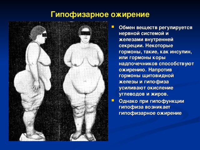 Гипофизарное ожирение Обмен веществ регулируется нервной системой и железами внутренней секреции. Некоторые гормоны, такие, как инсулин, или гормоны коры надпочечников способствуют ожирению. Напротив гормоны щитовидной железы и гипофиза усиливают окисление углеводов и жиров. Однако при гипофункции гипофиза возникает  гипофизарное ожирение 