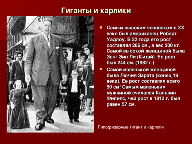 Гиганты и карлики Самым высоким человеком в ХХ веке был американец Роберт Уадлоу. В 22 года его рост составлял 286 см., а вес 200 кг. Самой высокой женщиной была Зенг Зин Ли (Китай). Ее рост был 244 см. (1982 г.) Самой маленькой женщиной была Лючия Зарата (конец 19 века). Ее рост составлял всего 50 см! Самым маленьким мужчиной счилался Кальвин Филипс, чей рост в 1812 г. был равен 57 см. Гипофизарные гигант и карлики 