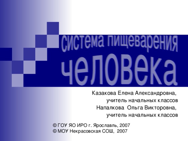 Казакова Елена Александровна, учитель начальных классов Напалкова Ольга Викторовна, учитель начальных классов © ГОУ ЯО ИРО г. Ярославль, 2007 © МОУ Некрасовская СОШ, 2007 