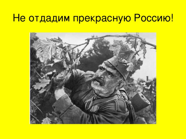 Не отдадим прекрасную Россию! 