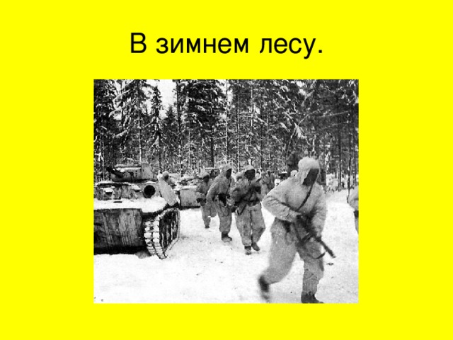 В зимнем лесу. 