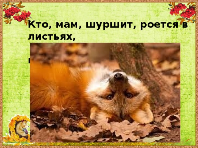 Кто, мам, шуршит, роется в листьях,  пряча от всех хвост свой пушистый?  