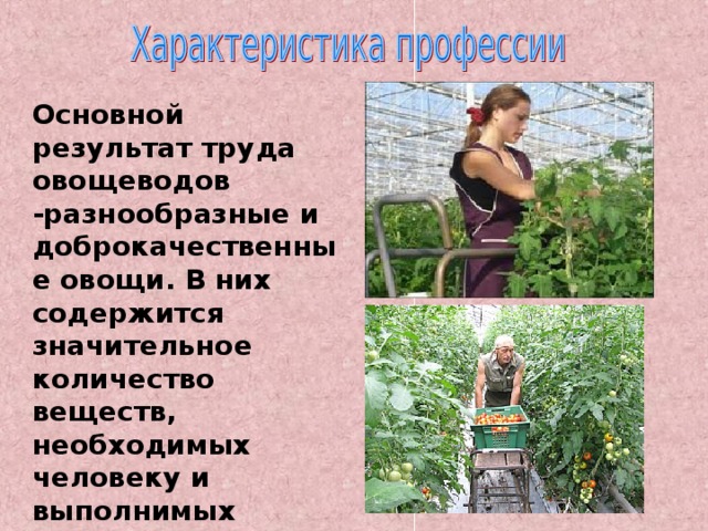 Основной результат труда овощеводов -разнообразные и доброкачественные овощи. В них содержится значительное количество веществ, необходимых человеку и выполнимых никакими иными продуктами питания.  