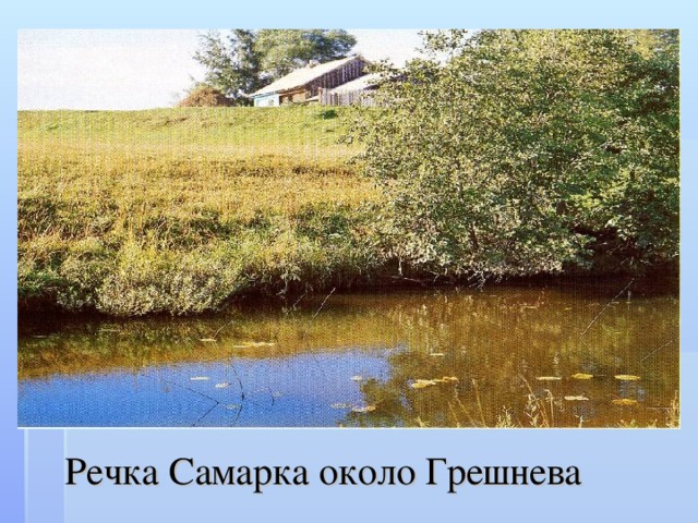 Речка Самарка около Грешнева