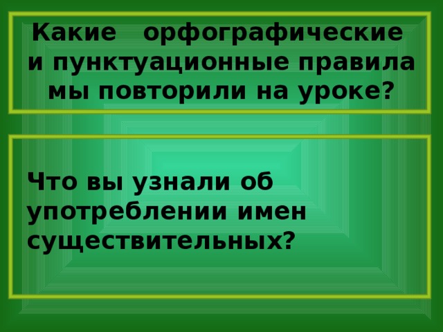 Какие орфографические и пунктуационные правила мы повторили на уроке? Что вы узнали об употреблении имен существительных?