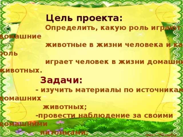   Цель проекта:  Определить, какую роль играют домашние  животные в жизни человека и какую роль  играет человек в жизни домашних животных.  Задачи:  - изучить материалы по источникам о домашних  животных;  -провести наблюдение за своими домашними  питомцами;  -сделать выводы об особенностях домашних  животных 