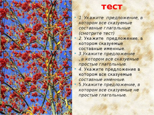 тест 1. Укажите предложение, в котором все сказуемые составные глагольные (смотрите тест) 2. Укажите предложение, в котором сказуемые составные именные. 3.Укажите предложение  , в котором все сказуемые простые глагольные. 4. Укажите предложение в котором все сказуемые составные именные. 5. Укажите предложение, в котором все сказуемые не простые глагольные.