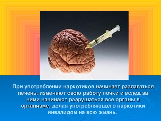 При употреблении наркотиков начинает разлагаться печень, изменяют свою работу почки и вслед за ними начинают разрушаться все органы в организме, делая употребляющего наркотики инвалидом на всю жизнь.