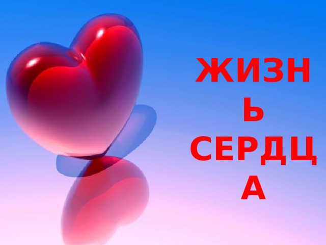 ЖИЗНЬ СЕРДЦА