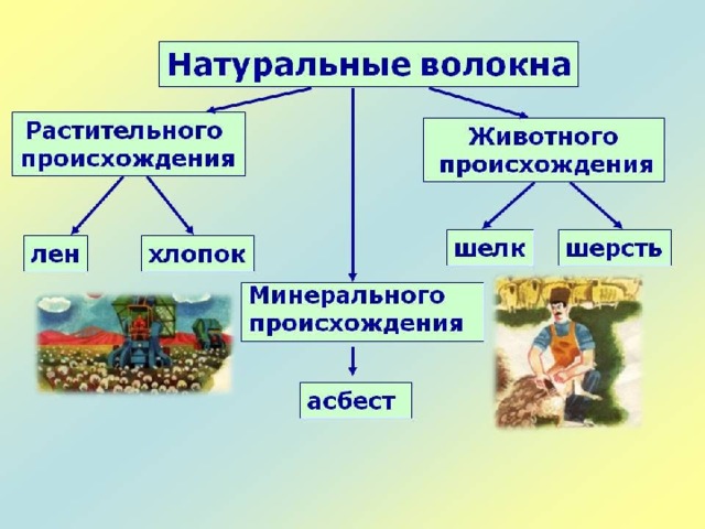 НАТУРАЛЬЫЕ ВОЛОКНА Животного происхождения: Шерсть Шелк Растительного происхождения: Хлопок Лен 