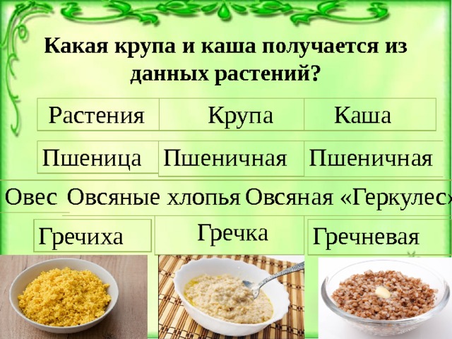 Какая крупа и каша получается из данных растений?  Растения  Крупа  Каша Пшеница Пшеничная Пшеничная Овсяная «Геркулес» Овес Овсяные хлопья  Гречка Гречиха Гречневая 