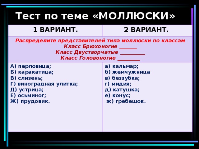 Тест по теме «МОЛЛЮСКИ» 1 ВАРИАНТ. 2 ВАРИАНТ.  Распределите представителей типа моллюски по классам Класс Брюхоногие _______ Класс Двустворчатые __________ Класс Головоногие _________ А) перловица; Б) каракатица; В) слизень; Г) виноградная улитка; Д) устрица; Е) осьминог; Ж) прудовик.     а) кальмар; б) жемчужница в) беззубка; г) мидия; д) катушка; е) конус;  ж) гребешок.  