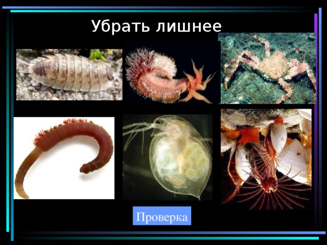 Убрать лишнее Проверка 