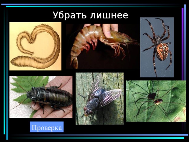 Убрать лишнее Проверка 