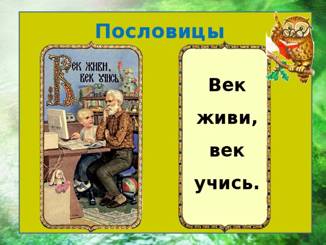 Картинка к пословице век живи век учись