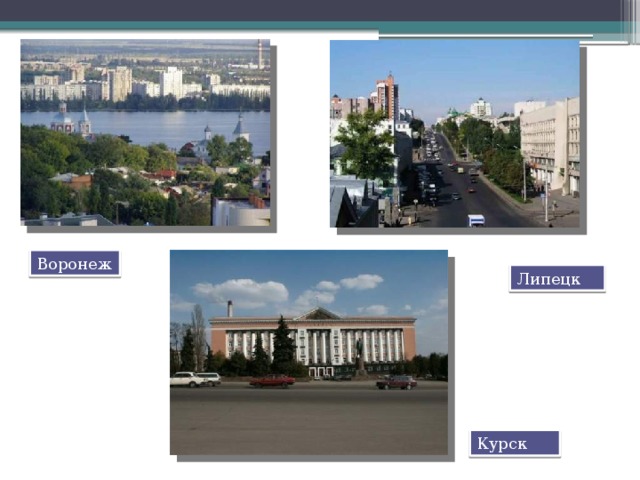 Воронеж Липецк Курск 