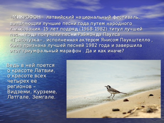 «МИКРОФОН»  латвийский национальный фестиваль, выявляющии лучшие песни года путем народного голосования. 15 лет подряд (1968-1982) титул лучшей песни года получали песни Раймонда Паулса . «Трясогузка» , исполненная актером Янисом Паукштелло , была признана лучшей песней 1982 года и завершила этот триумфальный марафон . Да и как иначе?  Ведь в ней поется о красоте Латвии, о красоте всех четырех её регионов – Видземи, Курземе, Латгале, Земгале. 
