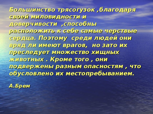Большинство трясогузок ,благодаря своей миловидности и доверчивости ,способны расположить к себе самые черствые сердца. Поэтому среди людей они вряд ли имеют врагов, но зато их преследует множество хищных животных . Кроме того , они подвержены разным опасностям , что обусловлено их местопребыванием.  А.Брем 