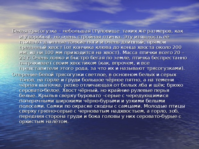 Белая трясогузка – небольшая (туловище  таких же размеров, как и у воробья), но очень стройная птичка. Эту изящность её придают длинные тонкие ноги и очень длинный, прямой срезанный хвост (от кончика клюва до конца хвоста около 200 мм, из ни 100 мм приходится на хвост). Масса птички всего 20 – 23 г. Очень ловко и быстро бегая по земле, птичка беспрестанно потряхивает своим хвостиком (как, впрочем, и все представители этого рода, за что их и называют трясогузками). Оперение белой трясогузки светлое, в основном белых и серых тонов, на горле и груди большое чёрное пятно, а на темени чёрная шапочка, резко отличающая от белых лба и щёк; брюхо серовато-белое. Хвост чёрный, но крайние рулевые перья белые. Крылья сверху буровато –серые с чередующимися поперечными широкими чёрно-бурыми и узкими белыми полосами. Самки по окраске сходны с самцами. Молодые птицы сверху грязно-серые с черноватым надхвостьем, а горло, зоб, передняя сторона груди и бока головы у них серовато-бурые с орхистым налётом. 