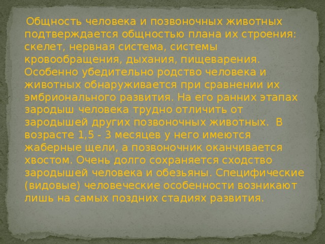  Общность человека и позвоночных животных подтверждается общностью плана их строения: скелет, нервная система, системы кровообращения, дыхания, пищеварения. Особенно убедительно родство человека и животных обнаруживается при сравнении их эмбрионального развития. На его ранних этапах зародыш человека трудно отличить от зародышей других позвоночных животных. В возрасте 1,5 - 3 месяцев у него имеются жаберные щели, а позвоночник оканчивается хвостом. Очень долго сохраняется сходство зародышей человека и обезьяны. Специфические (видовые) человеческие особенности возникают лишь на самых поздних стадиях развития. 