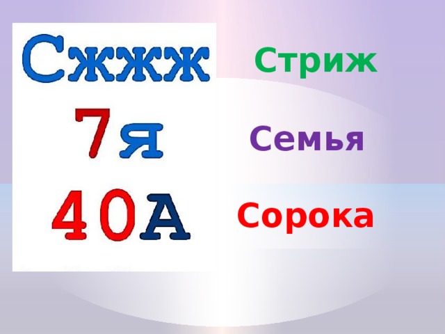 Стриж  Семья  Сорока