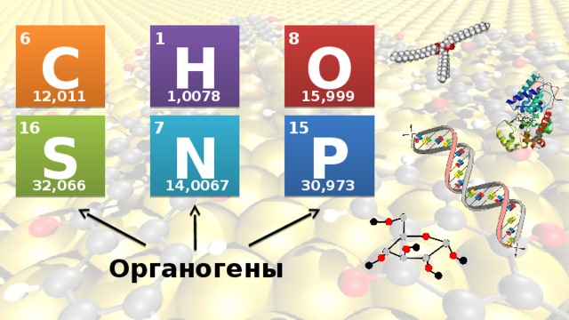 Молекулярная масса органических веществ гораздо меньше чем неорганических да или нет. Смотреть фото Молекулярная масса органических веществ гораздо меньше чем неорганических да или нет. Смотреть картинку Молекулярная масса органических веществ гораздо меньше чем неорганических да или нет. Картинка про Молекулярная масса органических веществ гораздо меньше чем неорганических да или нет. Фото Молекулярная масса органических веществ гораздо меньше чем неорганических да или нет