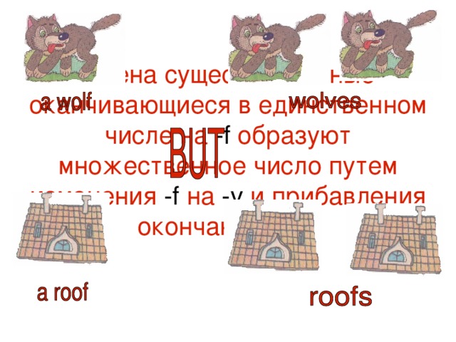 Имена существительные оканчивающиеся в единственном числе на -f  образуют множественное число путем изменения - f на -v и прибавления окончания - es