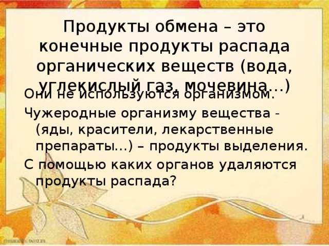 Продукты обмена – это конечные продукты распада органических веществ (вода, углекислый газ, мочевина…) Они не используются организмом. Чужеродные организму вещества - (яды, красители, лекарственные препараты…) – продукты выделения. С помощью каких органов удаляются продукты распада? 