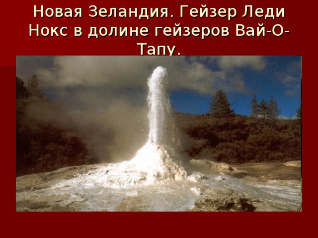 Новая Зеландия. Гейзер Леди Нокс в долине гейзеров Вай-О-Тапу. 