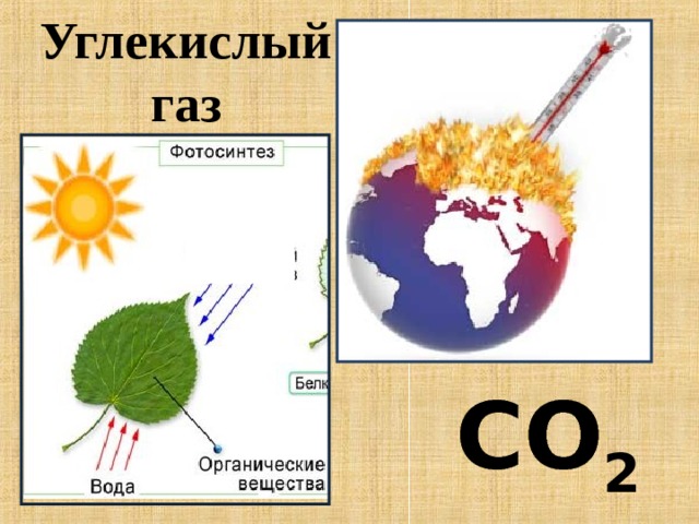 Карта углекислого газа