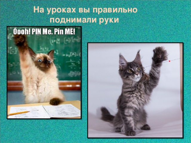 На уроках вы правильно  поднимали руки 