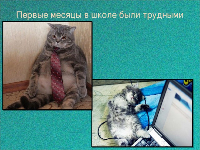 Первые месяцы в школе были трудными  