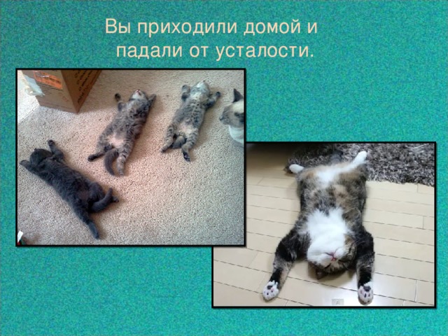  Вы приходили домой и  падали от усталости. 
